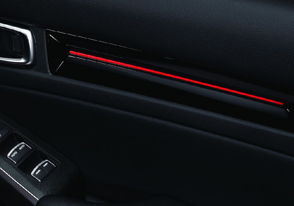 Door Trim with Red Illumination